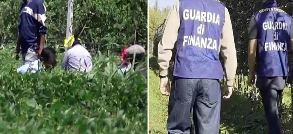 "Tolleranza zero" contro il caporalato, in Trentino 300 lavoratori coinvolti in 4 inchieste