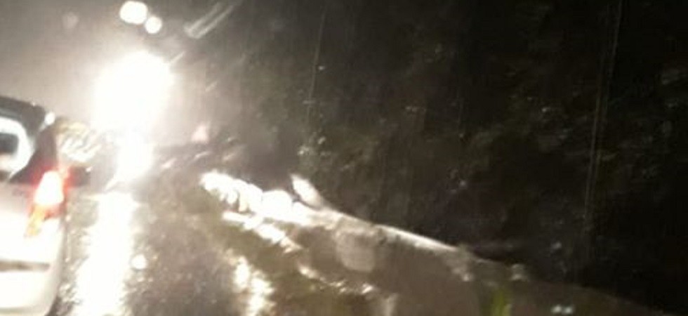 Il bosco stava invadendo la strada, avevo paura di finire nell'Adige''