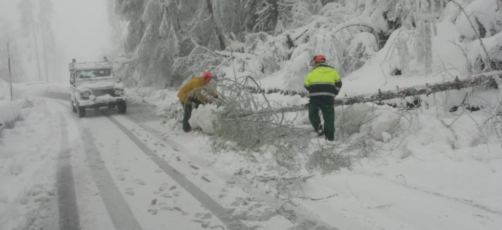 Neve a maggio, allerta sotto i 1.000 metri