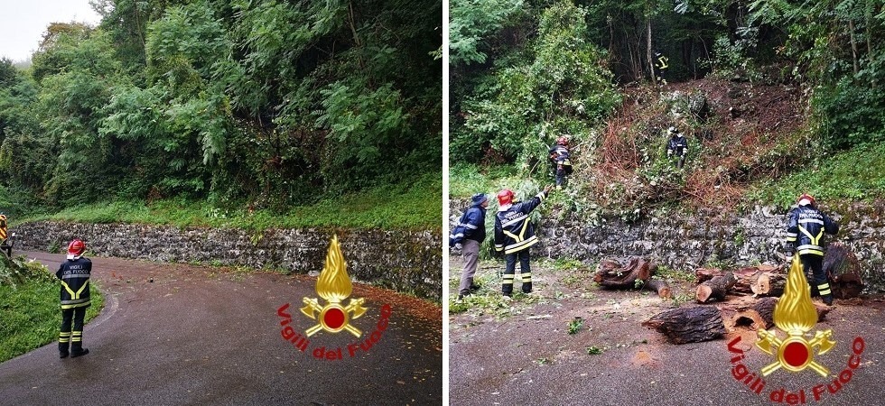 I vigili del fuoco armati di motoseghe tolgono gli alberi pericolanti e riaprono la strada per il Monte Velo
