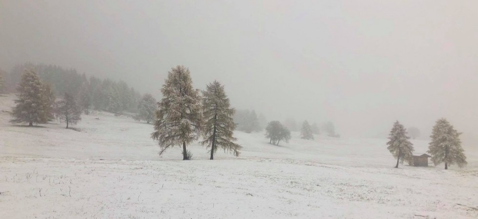 Foto Monte Bondone #Live Vento e limite neve a quote medie, messaggio mirato della Protezione civile