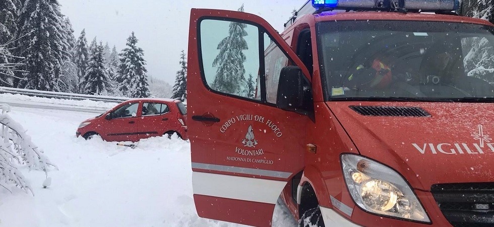 Crolla la linea telefonica per la neve, piante in mezzo alla strada e vetture in difficoltà