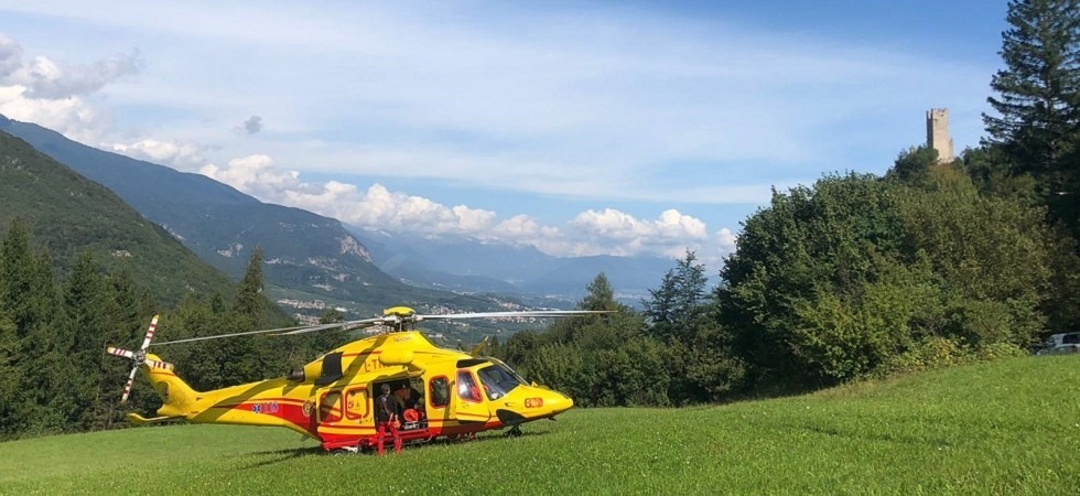 Un boscaiolo viene colpito da un ramo alla testa