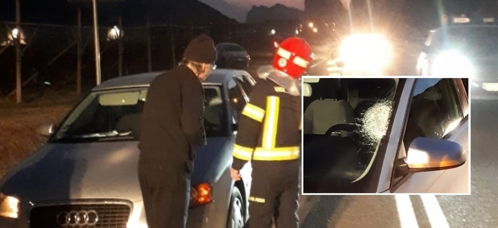 Paura sulla SS45 bis, un cavallo si scontra con un'auto e poi scappa, ferito il conducente