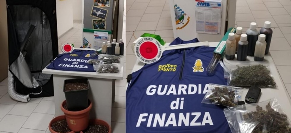 In centro a Trento una serra artigianale di marijuana, denunciato un ventenne e il coinquilino