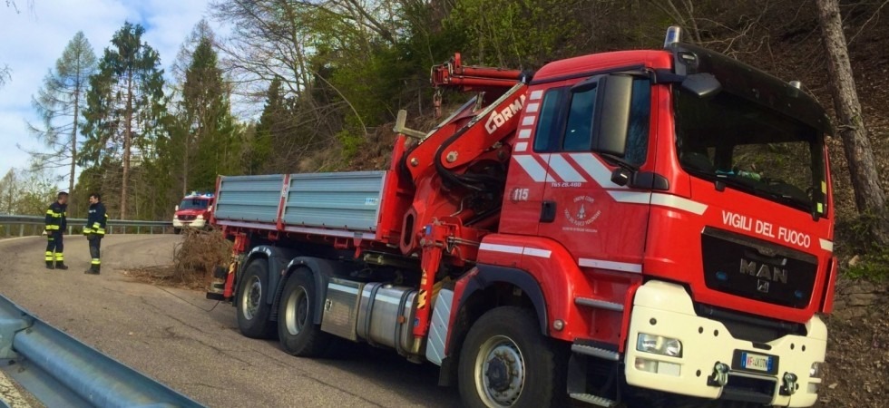 Un tronco finisce sulla strada, intervengono i vigili del fuoco