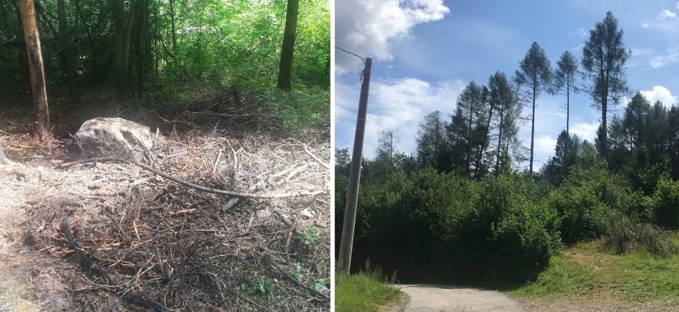 Aveva appiccato un incendio ma era stato visto da alcuni cittadini