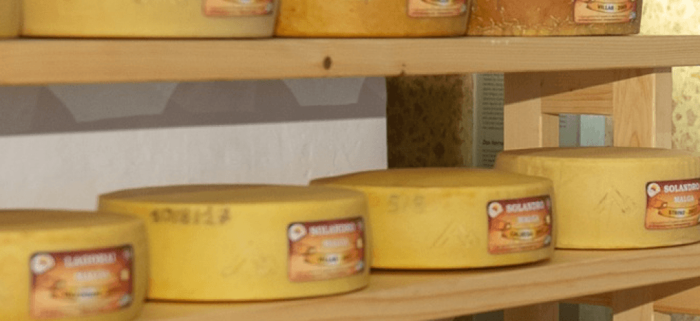 Il formaggio migliore del Trentino finisce all'asta, in arrivo chef stellati per garantirsi le forme più pregiate