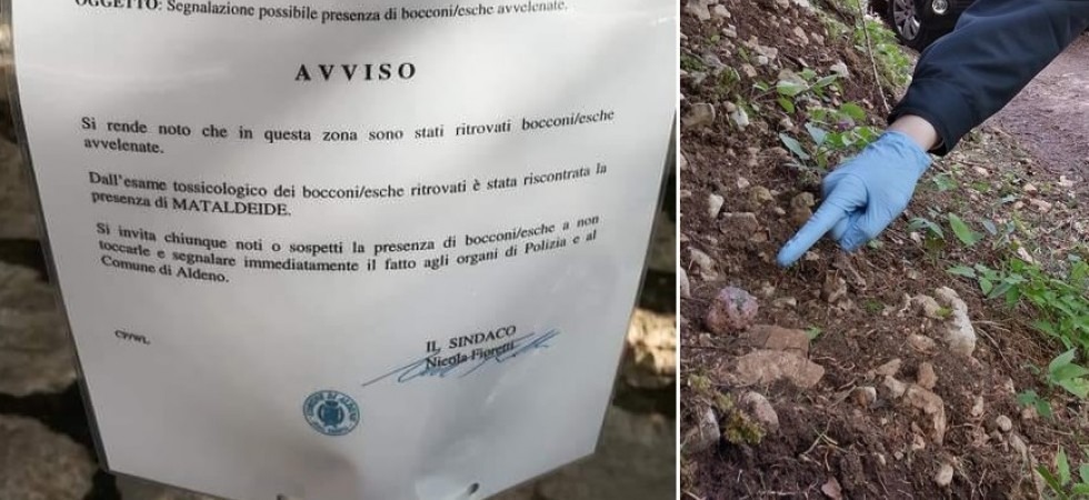 Bocconi avvelenati, nuove segnalazioni