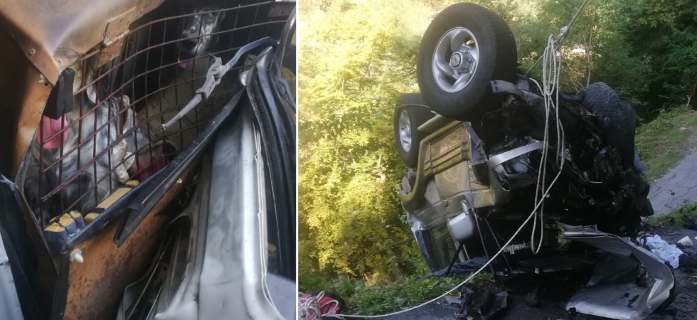 L'auto precipita per 100 metri ma tra le lamiere spuntano i due cani incredibilmente incolumi