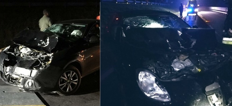 Foto vvf Levico Paura sulla SS47, investe con l'auto un cervo