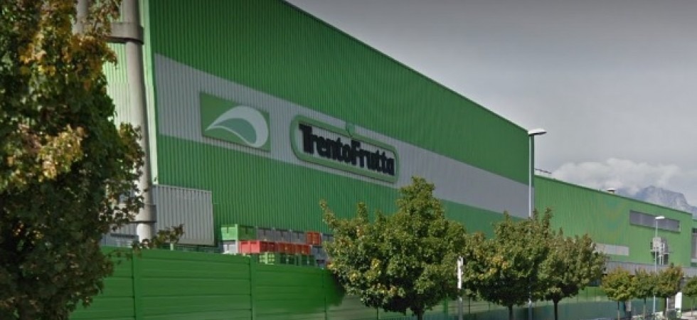 Incidente sul lavoro, scontro tra muletti nello stabilimento di Trentofrutta