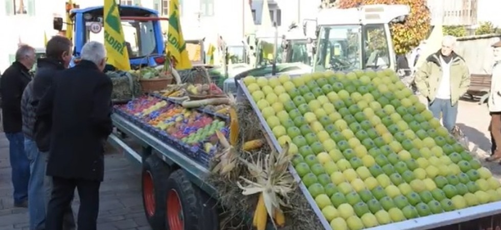 Maltempo, danni per 6 milioni di euro in agricoltura, Fugatti: Consumare prodotti trentini per sostenere il territorio''