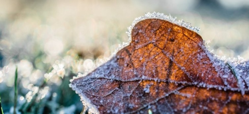 Temperature in forte calo, arriva il gelo