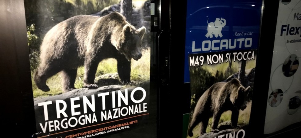 Trentino vergogna nazionale'', blitz di Centopercentoanimalisti a Verona