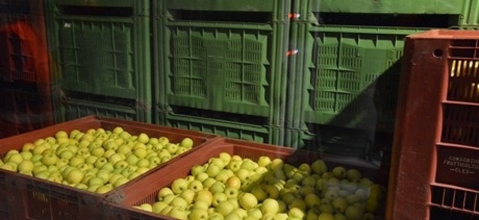 Dalla Provincia 3 milioni di euro per le nuove strutture di conservazione della frutta