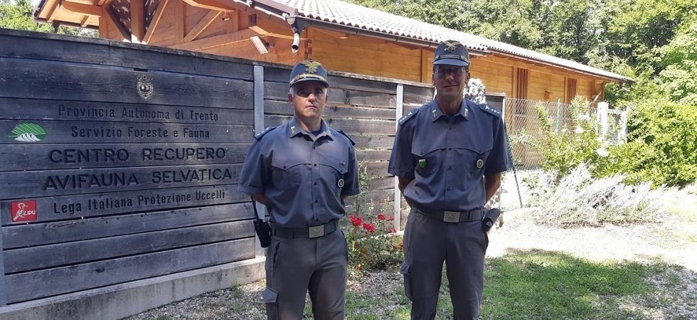 Sequestrati più di 100 uccelli che potevano valere fino a 800 euro l’uno, denunciati due uomini per traffico di avifauna