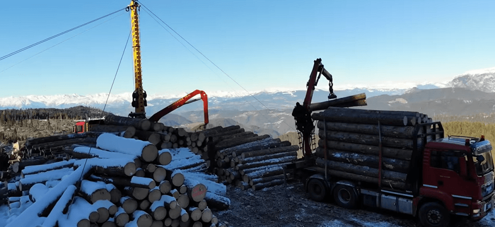 Dopo Vaia ritmi serrati per le nostre imprese, ma la richiesta di prodotti sempre più ecologici aiuta il comparto''