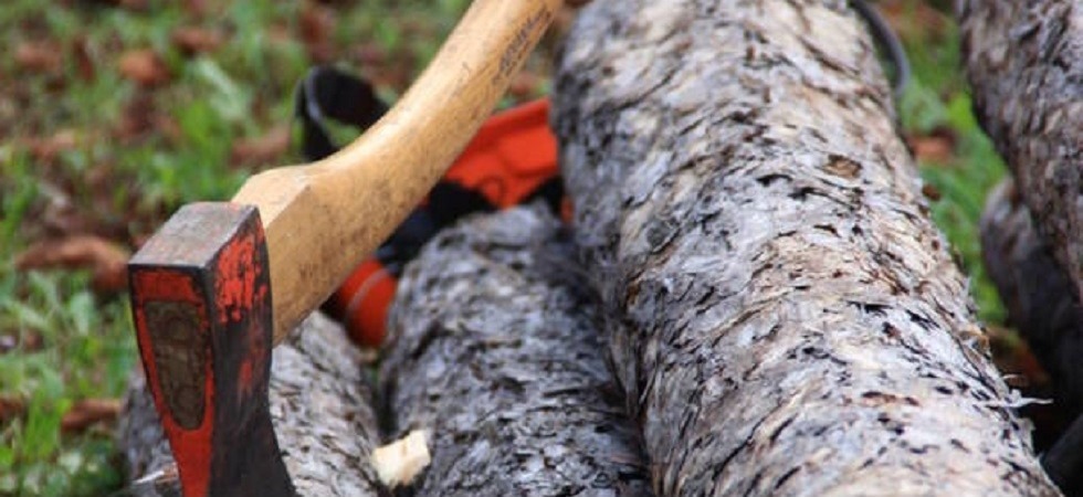 Viene travolto e schiacciato da un albero, soccorritori in azione in val di Fiemme