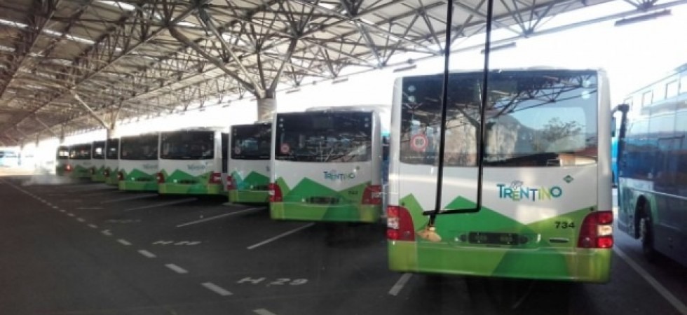 Giovani e vita notturna, la proposta di Coppola: La Provincia e Trentino Trasporti istituiscano le linee di notte per