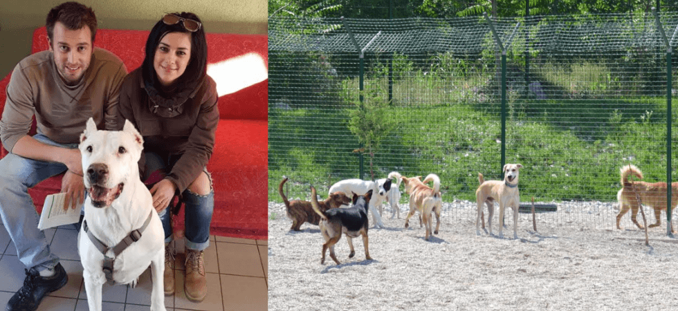 Erano i Dogo Argentini che avevano ucciso un bimbo di 18 mesi