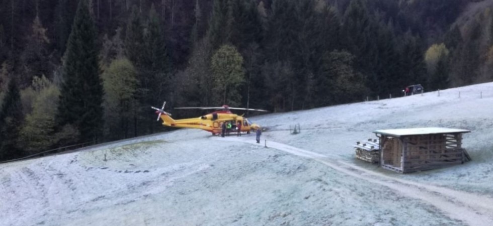 Incidente nel bosco, un uomo ferito mentre taglia la legna, trasportato in elicottero al Santa Chiara