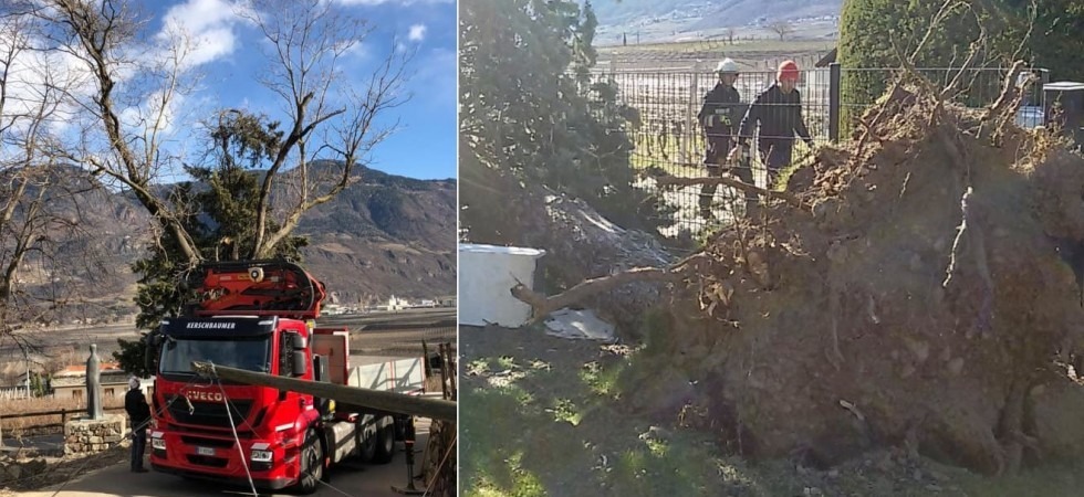 Alberi abbattuti e blackout elettrico, danni e paura in Alto Adige per le forti raffiche di vento