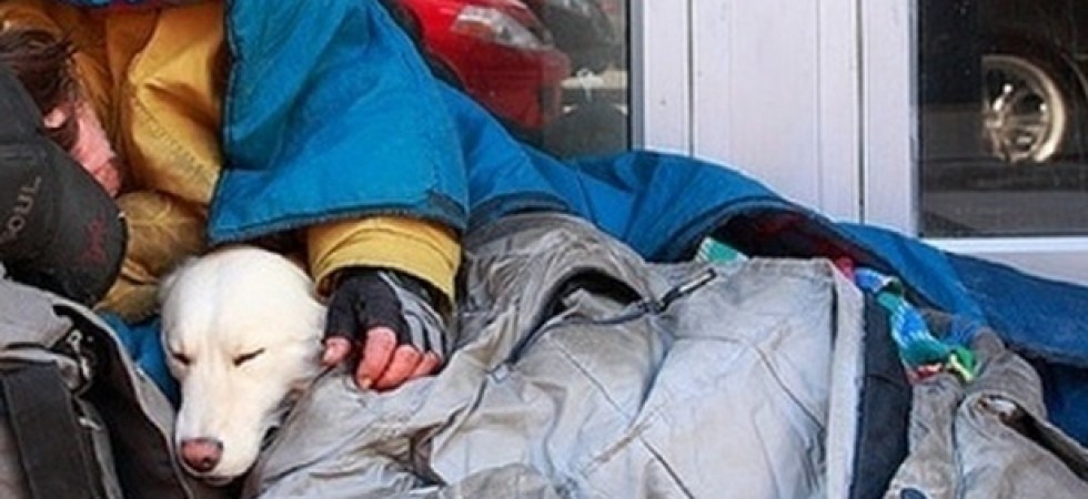Foto da internet Senzatetto costretti a dormire al freddo, gli studenti universitari in campo per la raccolta di beni di prima necessità