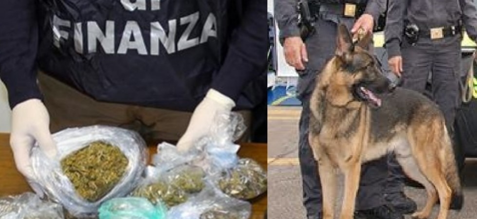 Spaccio e detenzione di droga, arrestato un 25enne e denunciato un 24enne