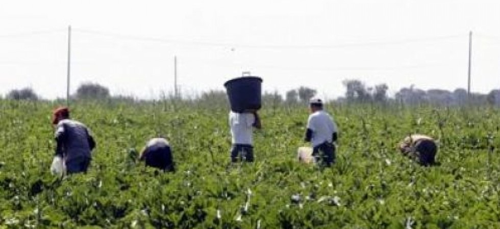 Era stato accusato di favoreggiamento all'immigrazione clandestina, agricoltore trentino scagionato