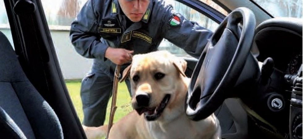 La guardia di finanza di Trento blocca due corrieri della droga