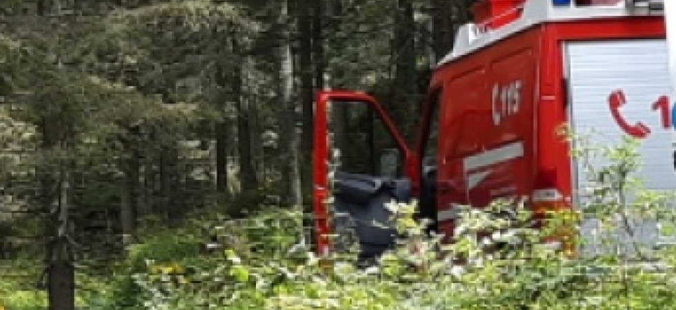 Tragedia nei boschi, travolto da un tronco muore un anziano