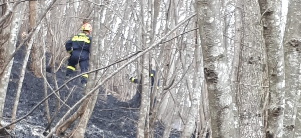 Incendio a Lamar, domate le fiamme
