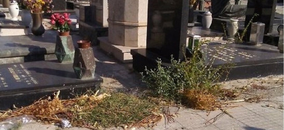 Incastrata dalle telecamere mentre ruba fiori e espleta i propri bisogni vicino alle lapidi