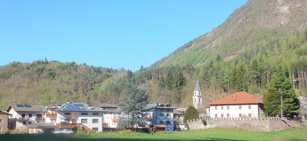 Un boscaiolo travolto da un albero, 54enne grave al Santa Chiara di Trento