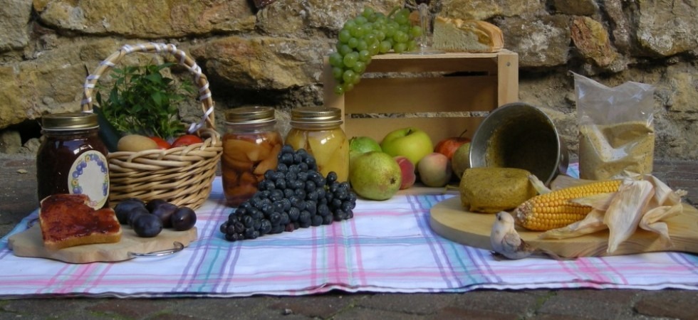 A Lavis prende il via il nuovo mercato contadino, l'invito alle aziende agricole locali a partecipare