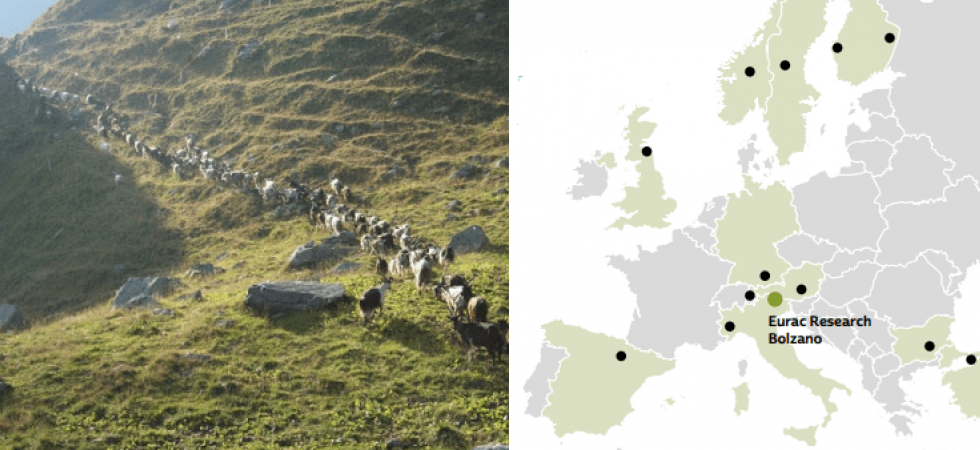 Cosa cambia nelle regioni rurali e alpine con l'arrivo dei migranti?
