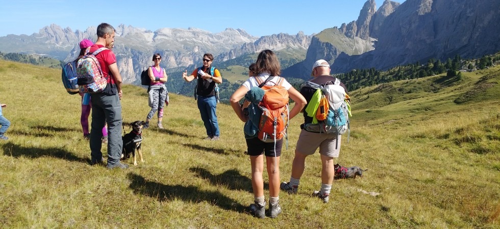 Arriva la Settimana della geologia: escursioni, laboratori e convegni