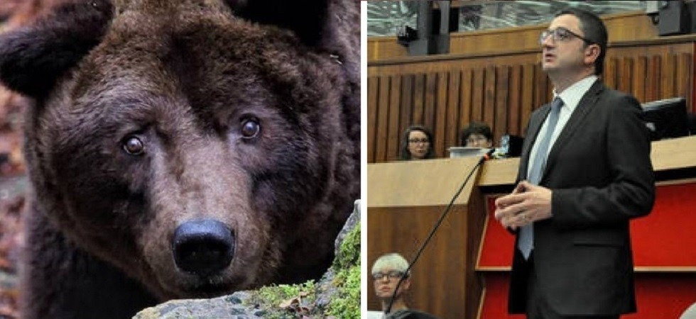 Fugatti ha firmato l'ordinanza: Procediamo alla rimozione con cattura dell’orso M49''