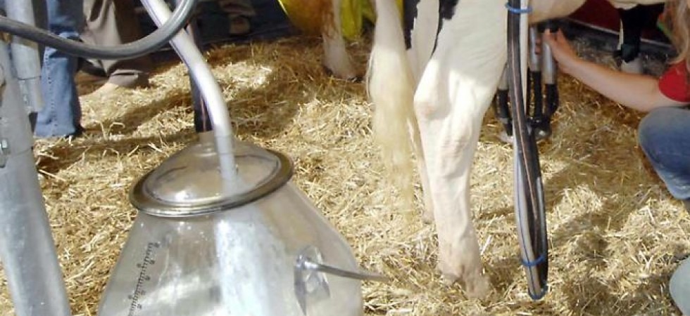Prodotti agricoli: 2 milioni di euro di contributi per sostenere le imprese