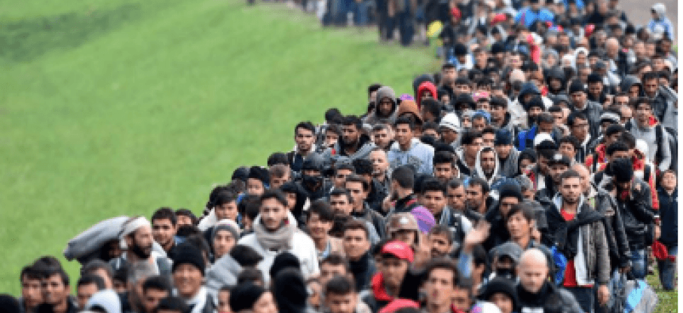 Otto giovani trentini hanno percorso la grande via migratoria a bordo del furgoncino delle Acli