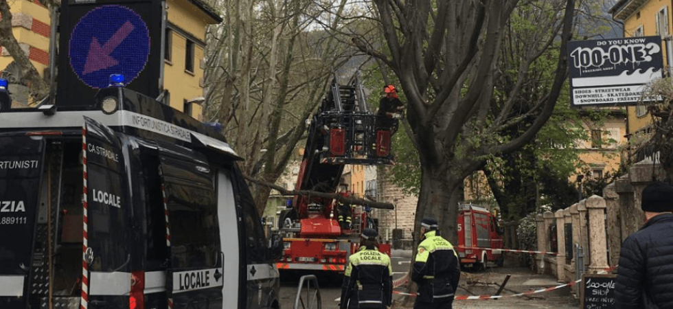 Maltempo, si stacca un ramo in centro e colpisce un passante