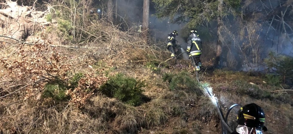 Incendio nei boschi del Bleggio, bruciato un ettaro e mezzo di bosco