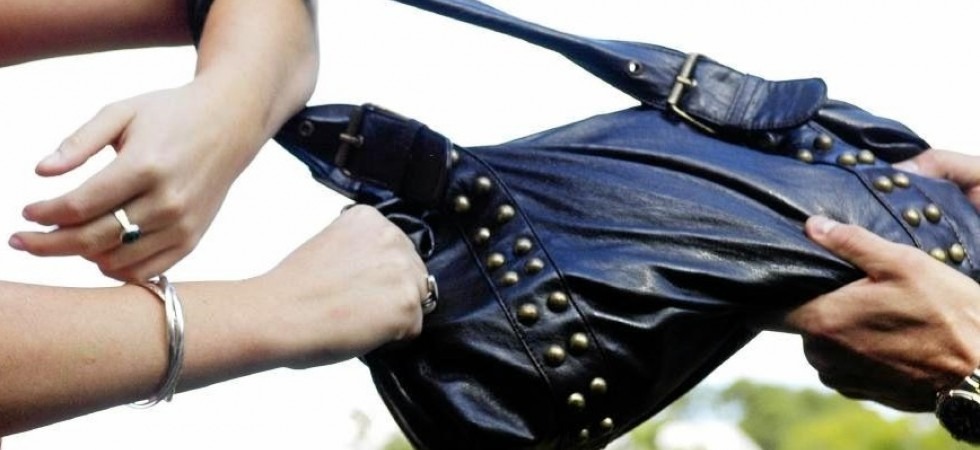 L'avvicina mentre cammina nel parco e tenta di strapparle la borsetta, ma l'anziana grida e mette in fuga il ladro