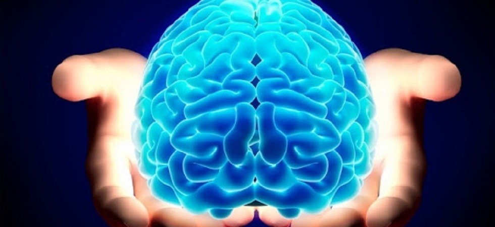 Concetti e idee, mappe e spazi, l'Università di Trento spiega il funzionamento del Gps'' del cervello