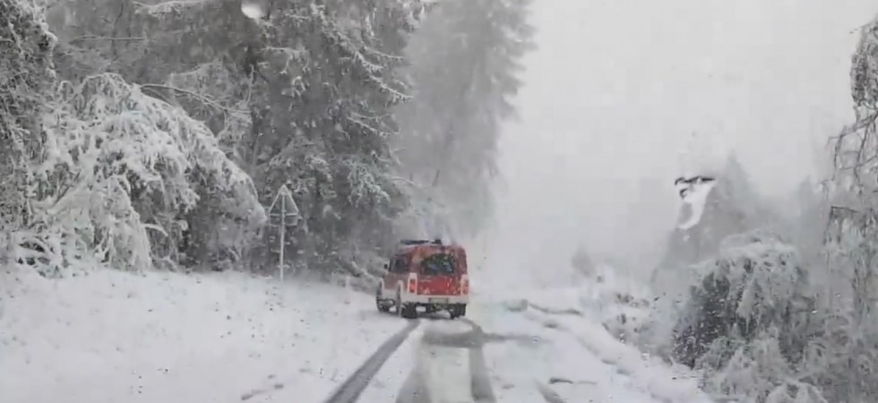 Foto di Giampaolo Rizzonelli, tratta da Facebook Maltempo, la neve abbatte le piante