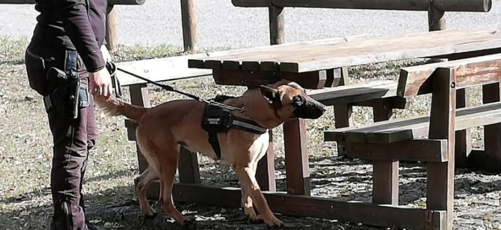 Spaccio nelle scuole, arrestato uno studente: nascondeva nello zaino 8 dosi di hashish