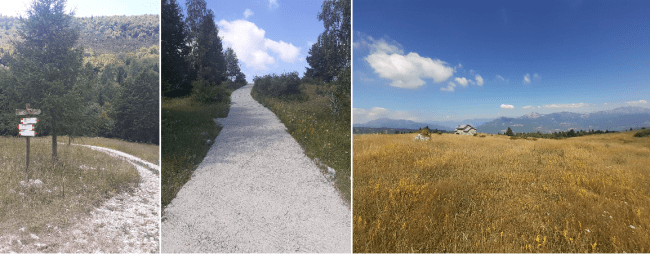 Da sx a dx: il bivio da Malga Cheserle, la strada per malga Monticello e la vastissima vista che si gode da quest'ultima