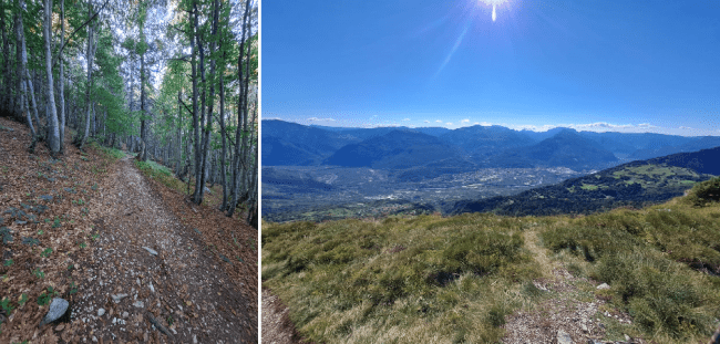 Tratto di sentiero che sale da Malga Campo e vista della Vallagarina dalla selletta di Cima Bassa