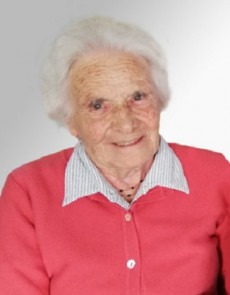 Ilape Veronesi